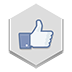 Facebook Like Icon 72x72 png